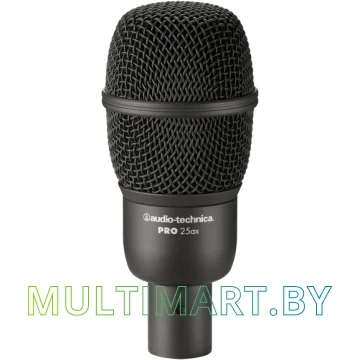 Микрофон Audio-Technica PRO25ax (80001078)